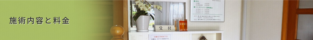 施術内容と料金