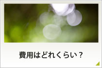 費用はどれくらい？